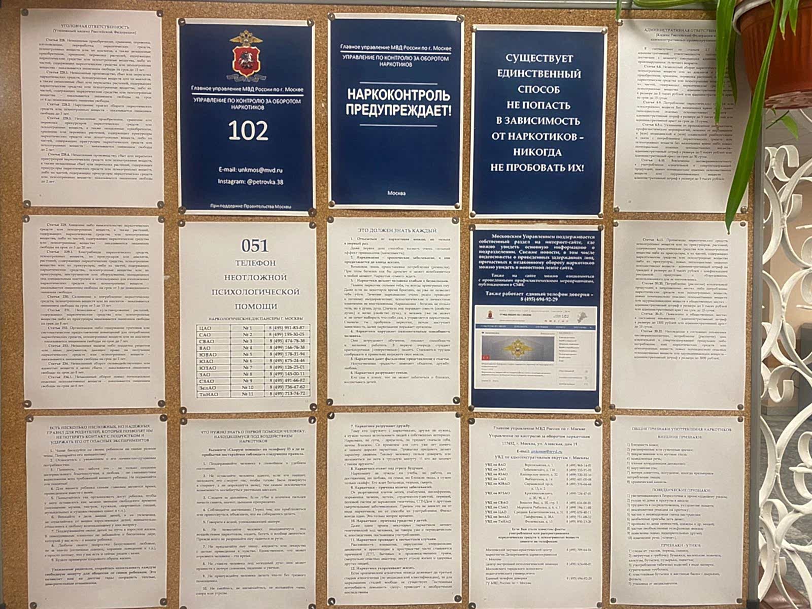 Просветительские мероприятия для детей, родителей и сотрудников прошли в 
